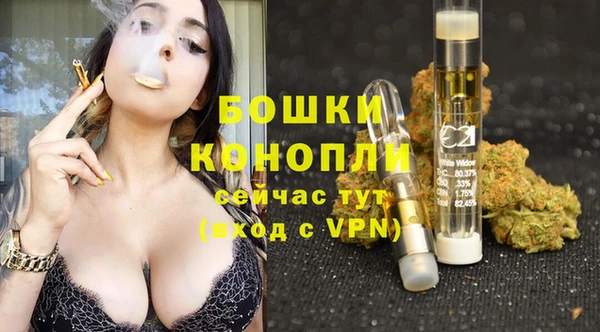 PSILOCYBIN Армянск